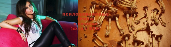 кокаин VHQ Каменка