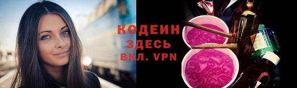 мяу мяу мука Инта