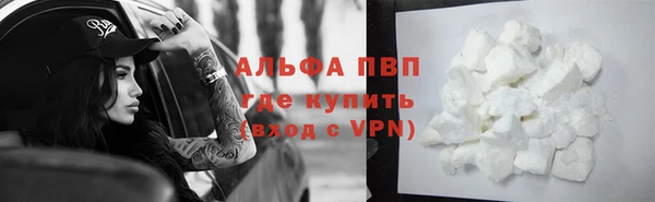 ешки Каменногорск