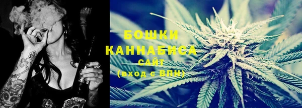 ешки Каменногорск
