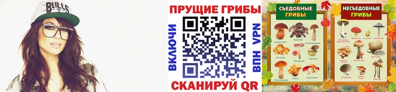Псилоцибиновые грибы прущие грибы  закладки  Ивдель 